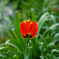 DSC02028.JPG