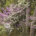 DSC02029.JPG