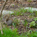 DSC02030.JPG