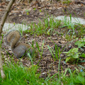 DSC02031.JPG