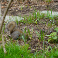 DSC02032.JPG