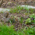 DSC02033.JPG