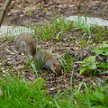 DSC02034.JPG
