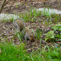 DSC02035.JPG