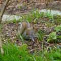 DSC02038.JPG
