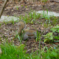 DSC02039.JPG