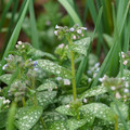 DSC02043.JPG
