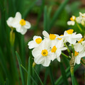 DSC02044.JPG