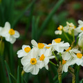 DSC02045.JPG