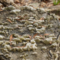 DSC02046.JPG