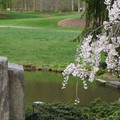 DSC02047.JPG