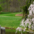 DSC02048.JPG