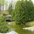 DSC02049.JPG