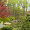 DSC02050.JPG