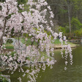 DSC02051.JPG