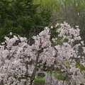 DSC02052.JPG