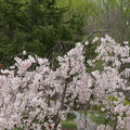 DSC02053.JPG