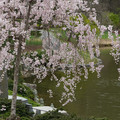 DSC02054.JPG