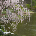 DSC02055.JPG