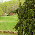 DSC02056.JPG