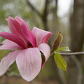 DSC02057.JPG