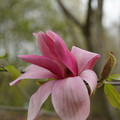 DSC02058.JPG