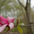 DSC02059.JPG
