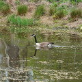 DSC02062.JPG