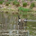 DSC02063.JPG