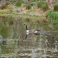 DSC02064.JPG