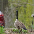 DSC02065.JPG