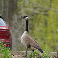 DSC02067.JPG