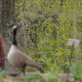 DSC02068.JPG