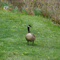 DSC02069.JPG