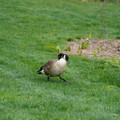 DSC02071.JPG