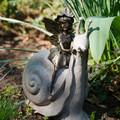 DSC02078.JPG