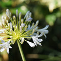 DSC02082.JPG