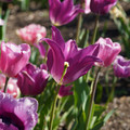 DSC02092.JPG