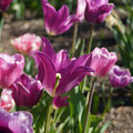 DSC02093.JPG