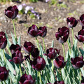 DSC02097.JPG
