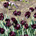 DSC02098.JPG