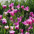 DSC02102.JPG