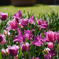 DSC02104.JPG