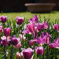 DSC02108.JPG