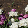 DSC02113.JPG