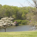 DSC02116.JPG