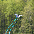 DSC02118.JPG