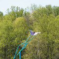 DSC02119.JPG