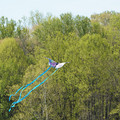 DSC02120.JPG
