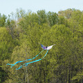 DSC02121.JPG